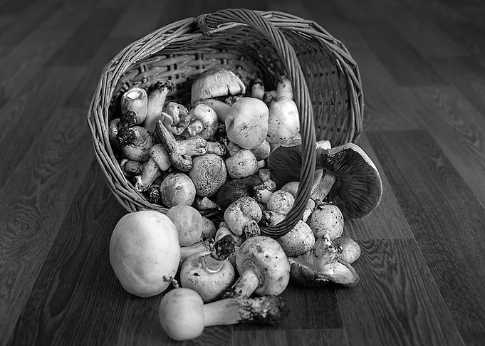 Mushrooms