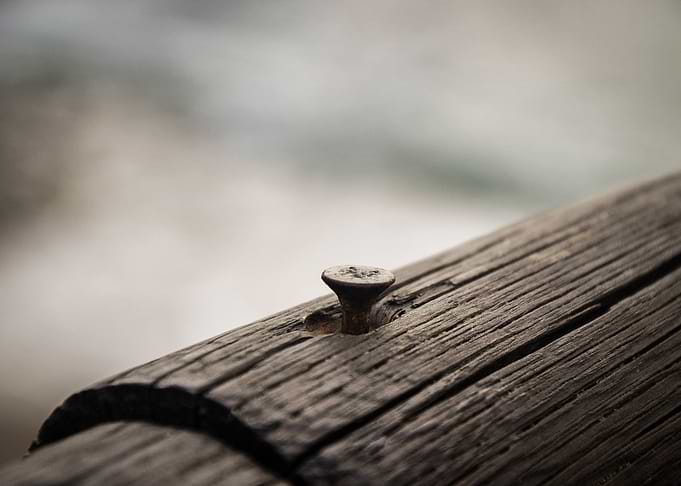 An everyday object, a screw in a wooden fence, next to ...