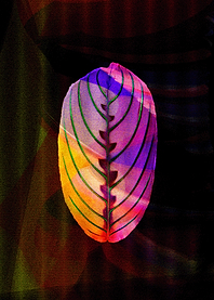 'leaf (blatt)' self developed, computer generated and f ...