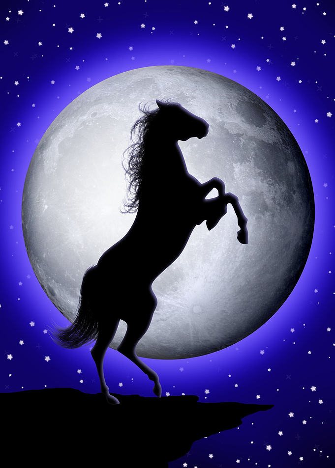 Wild Horse on Blue Moon