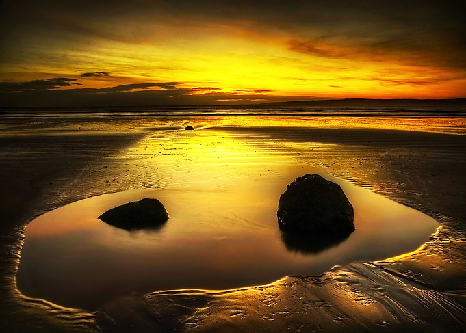 Golden Morning