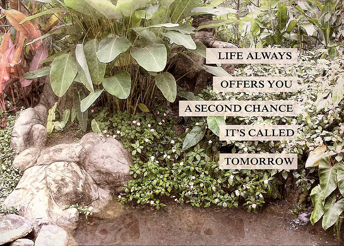 Second Chances