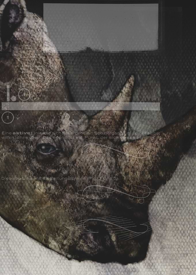 dieses Nashorn