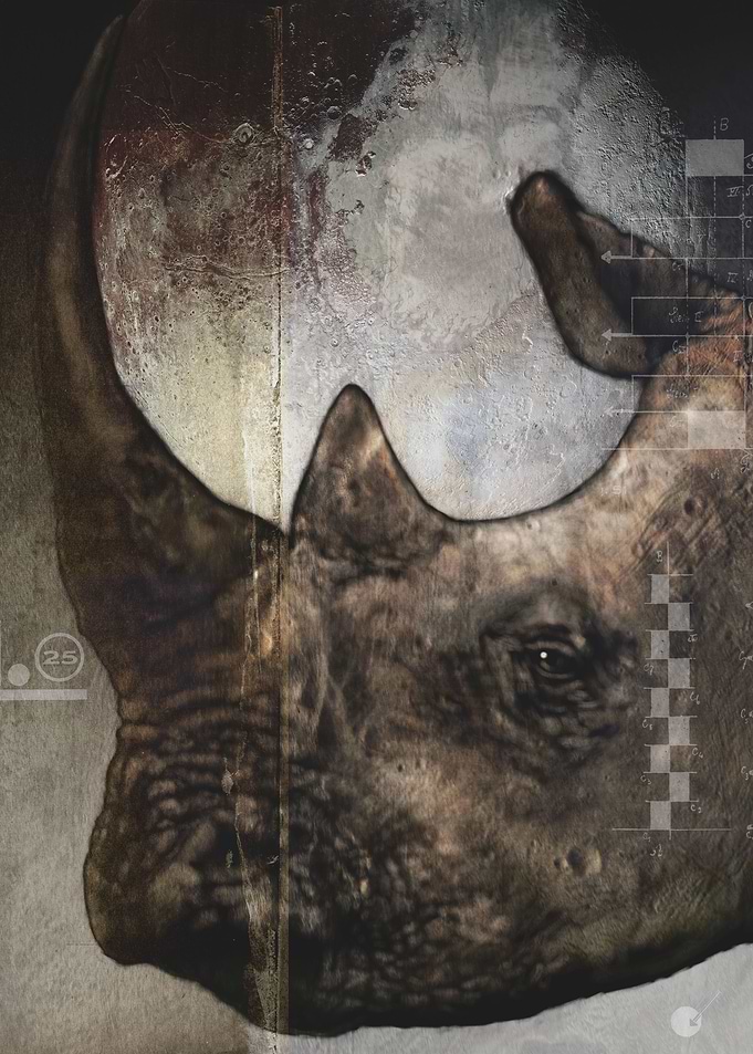 dieses Nashorn