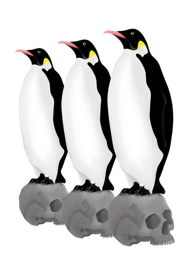 Three Emperor Penguins standing guard on human skulls. ...