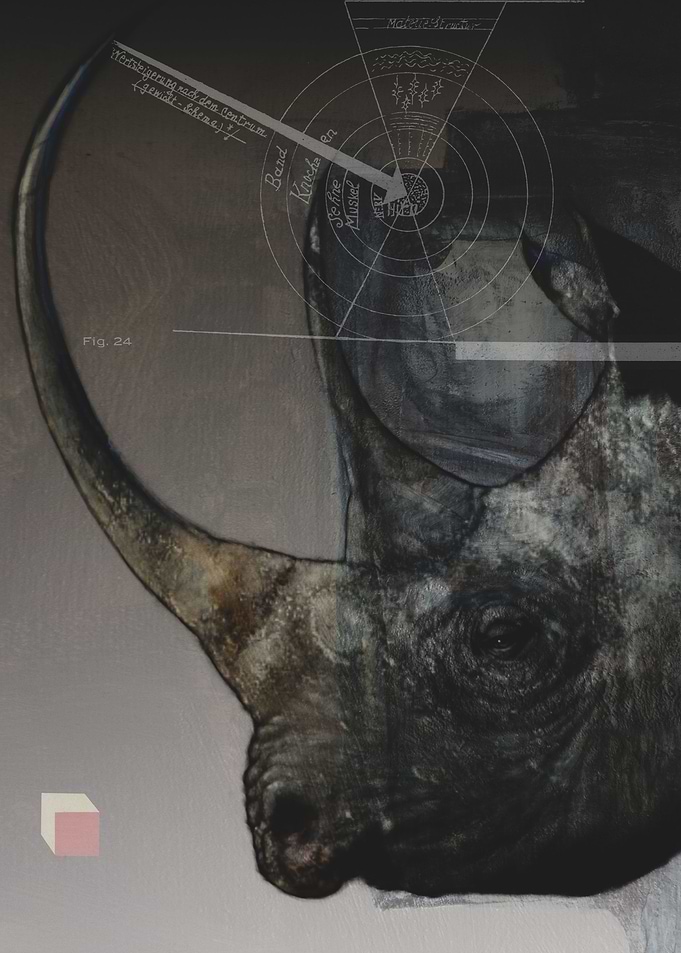 dieses Nashorn
