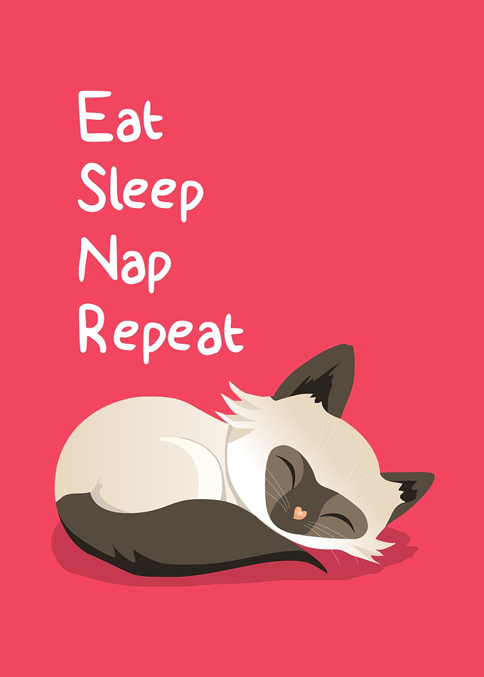 Cat Goals