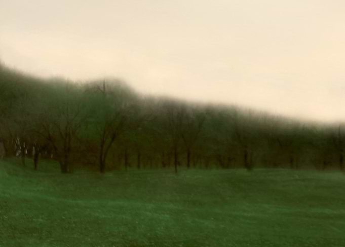 Modern abstract hunter green row of trees with artistic ...
