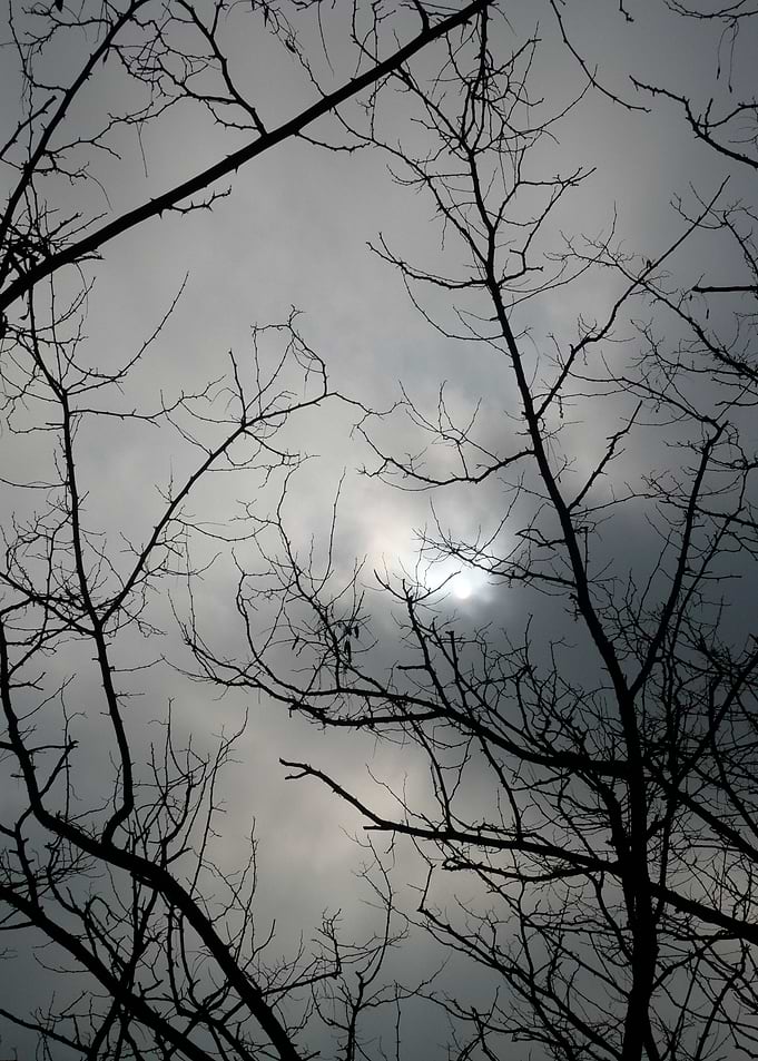Winter Sky