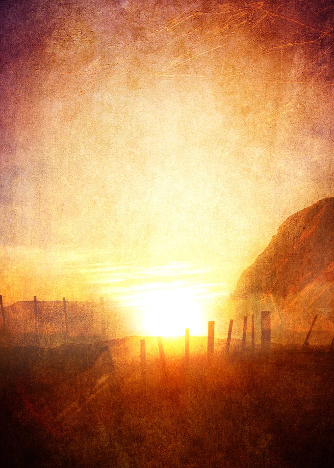 Follow the Sun