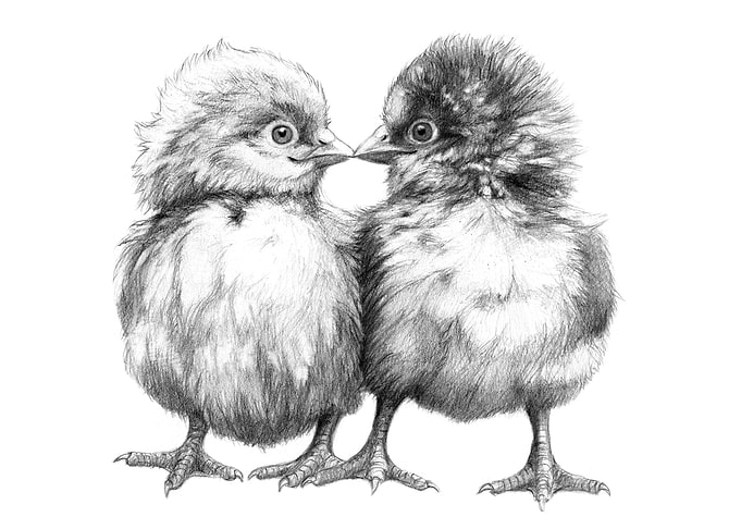 Baby Chicks - Little Kiss G133 by Svetlana Ledneva-Schu ...
