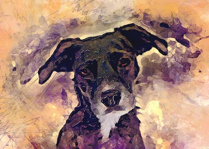 Dog Rex