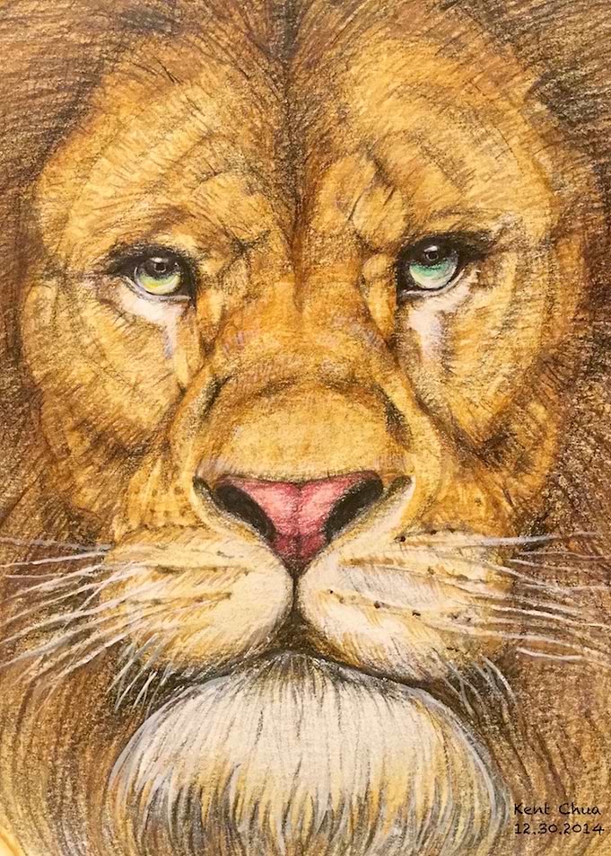 The Great Roar Arise In Your Heart Is The Roar Of Freed ...