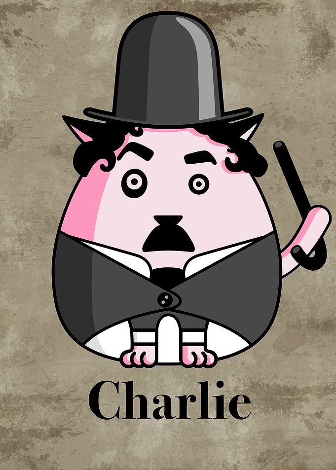 Charlie the cat