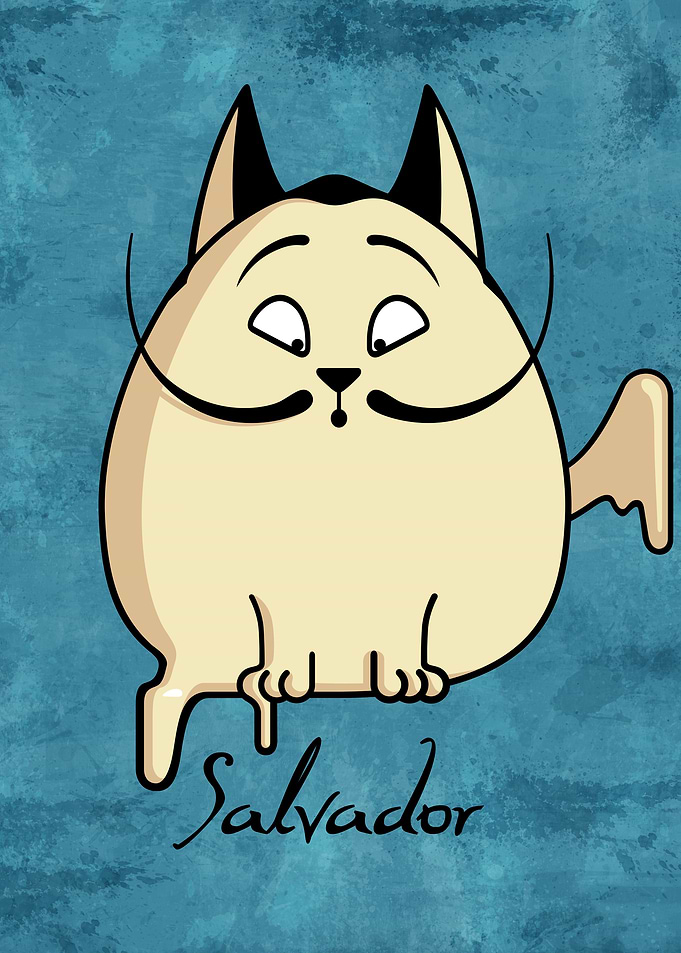 Salvador the cat