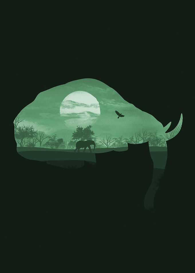 Safari