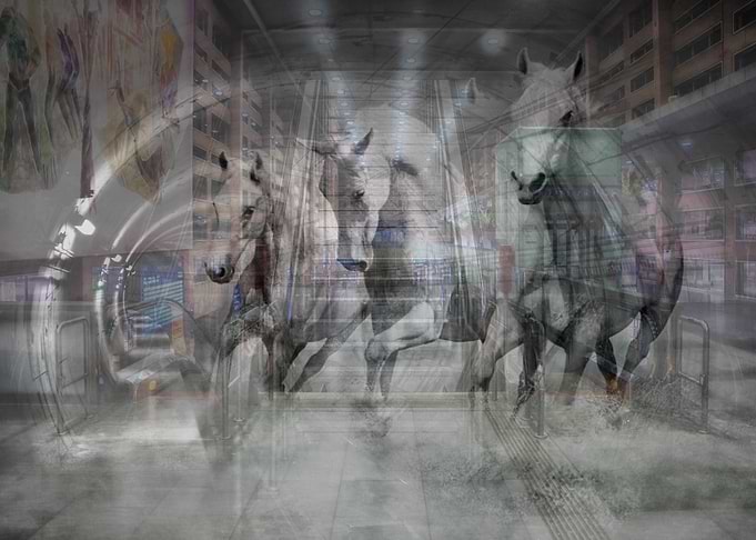 Horse Power