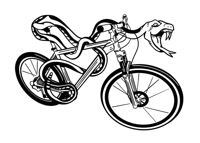A snake riding a hard tail mountain bike. This is how w ...