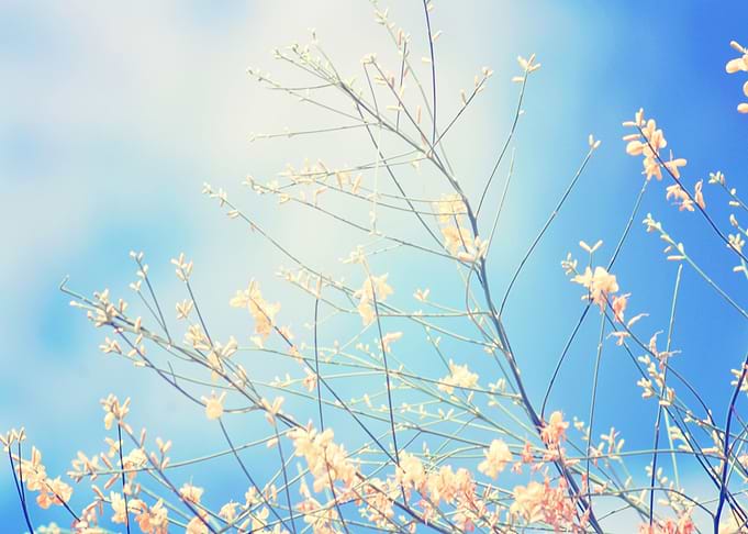 From the end spring new beginnings. By Chrissie Judge ...