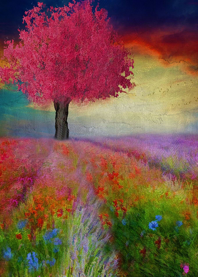 colours are brighter when the mind is Open By Chrissie ...