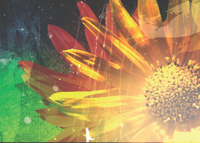Colorful Explosion