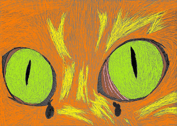 The Don Quixote of cats