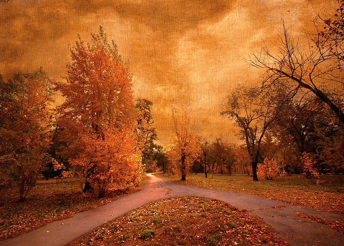 Surreal Autumn