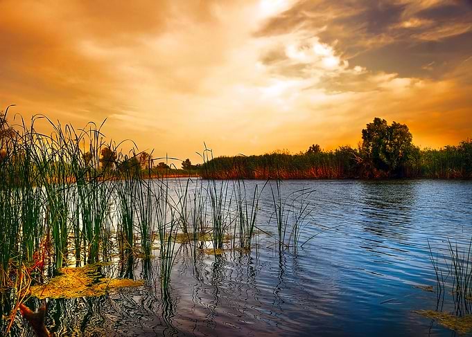 Evening Lake