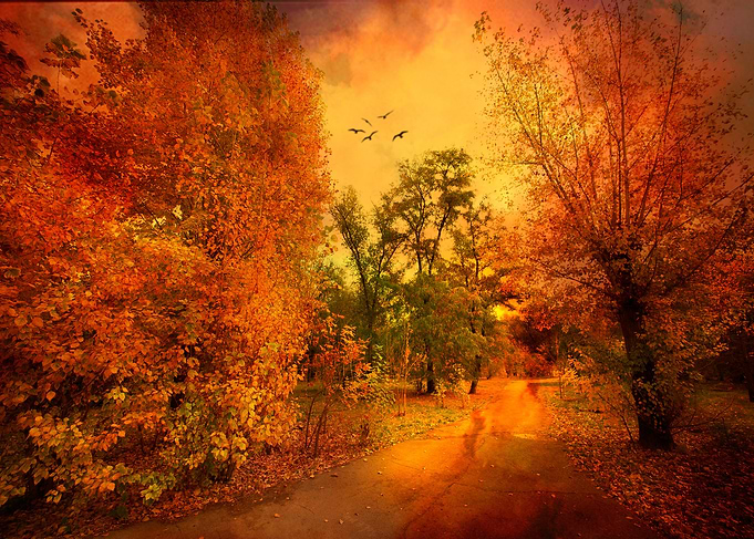 Deep Autumn