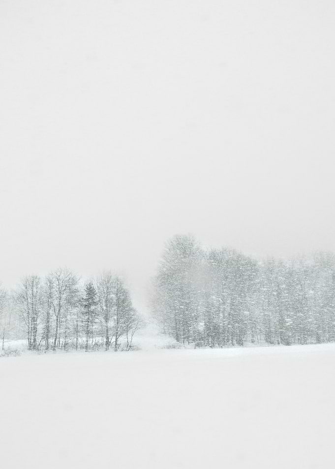 Snow storm on the road