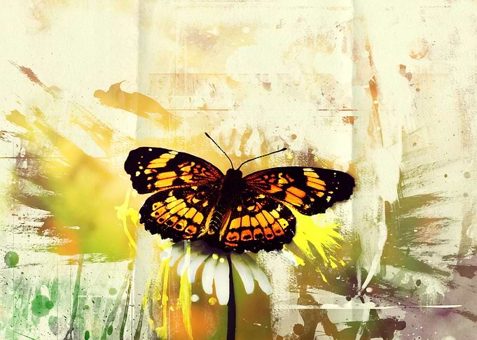 Escaping Butterfly
