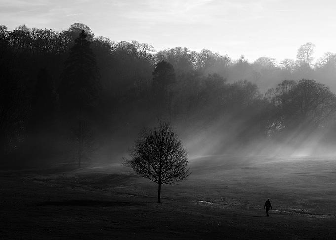 come forward into the light of things let nature be you ...