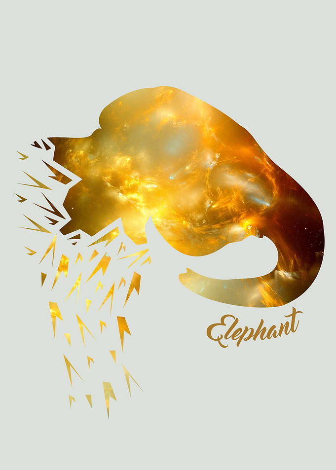 2 of 5 Animals Elephant: which become partially shatter ...