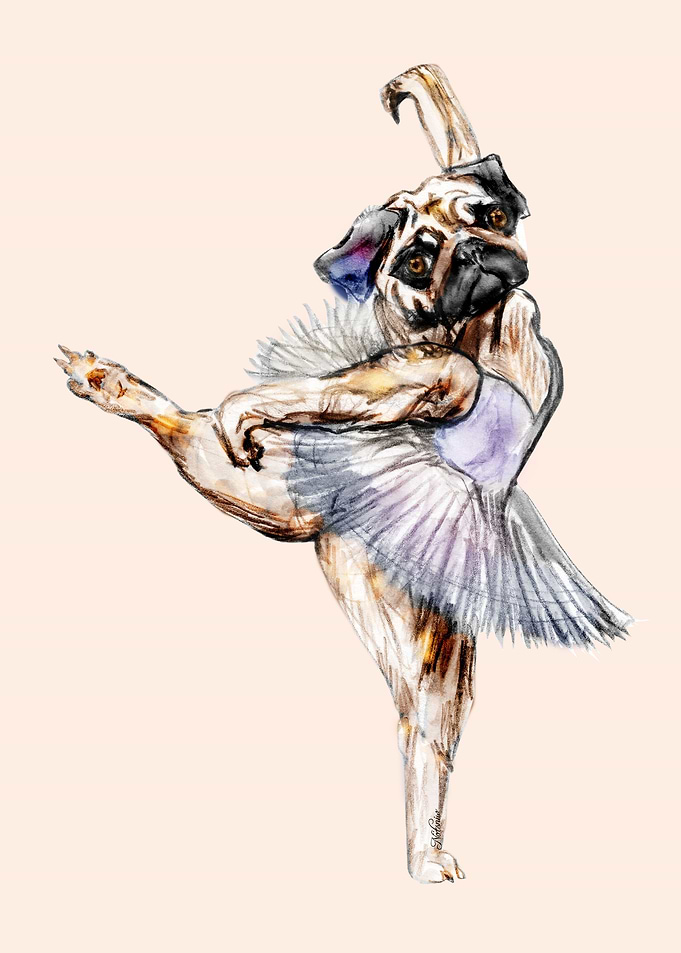 Pug Ballerina in Dog Ballet imitating a French Swan Lak ...