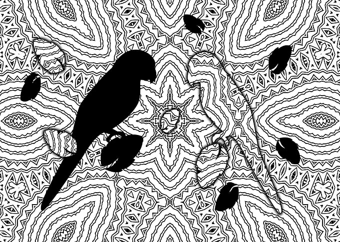Parrots black and white Style