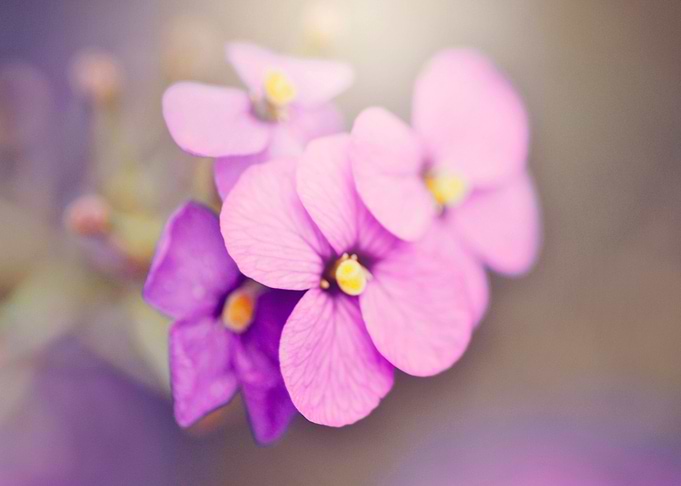 By Chrissie Judge