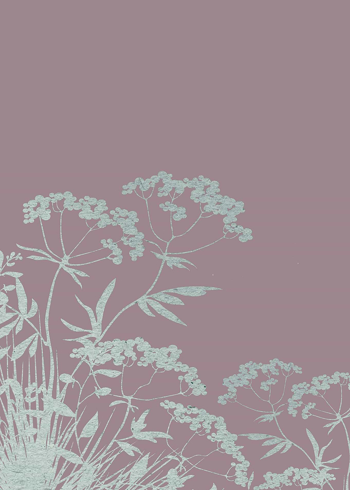 grasses illustration