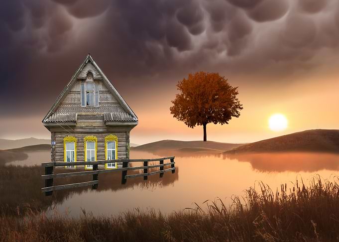 By chrissie Judge