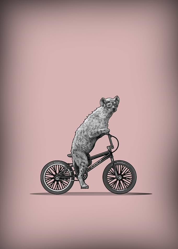 BMX humor Safari