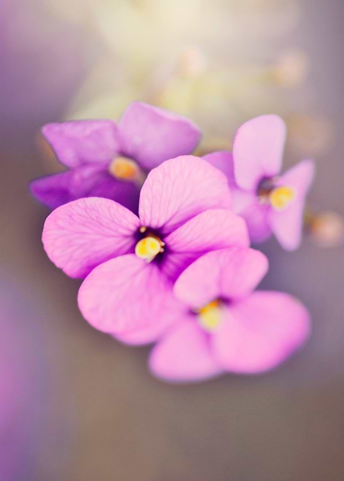 By chrissie Judge