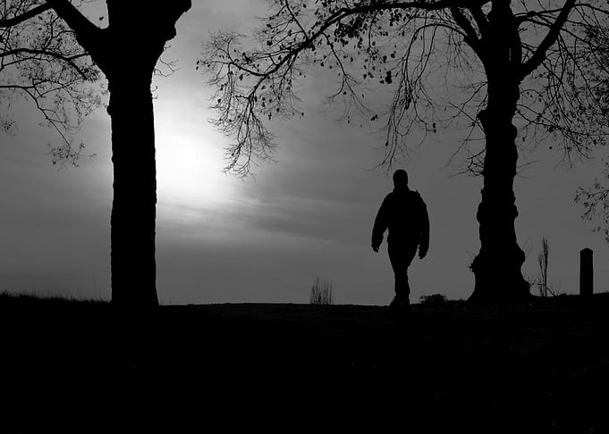 walk the walk By chrissie Judge