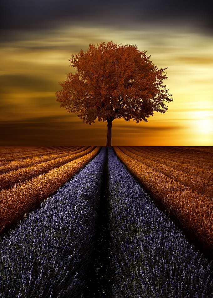by chrissie Judge