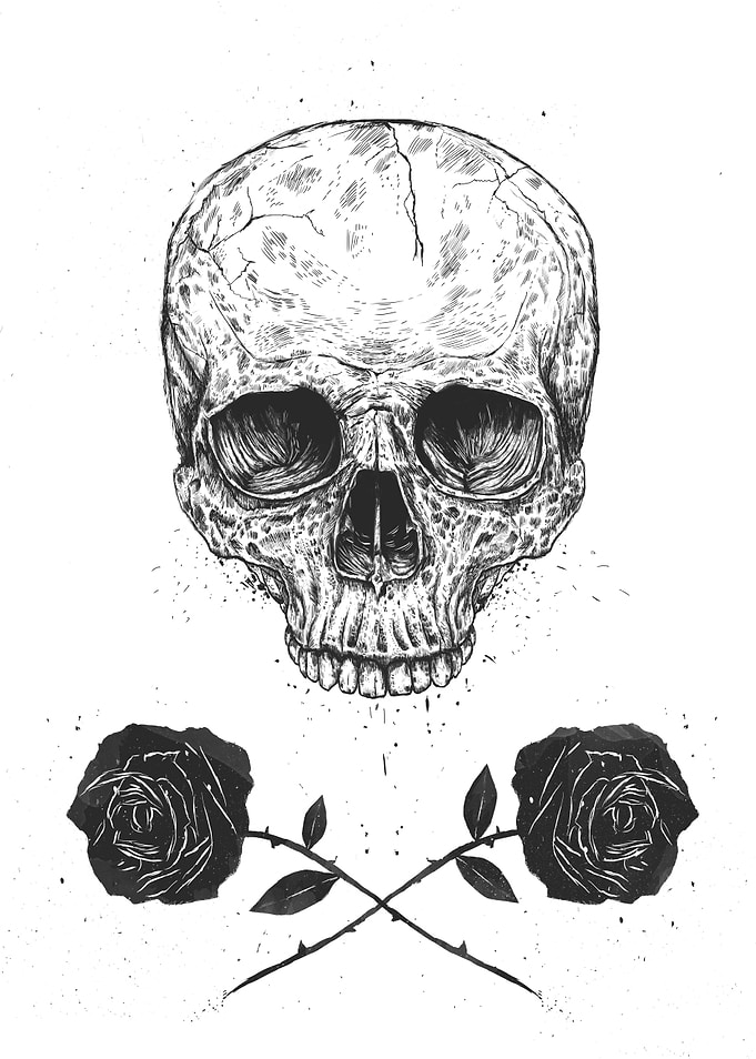 Skull N' Roses