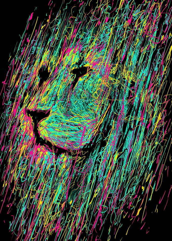 Unfinished Lion