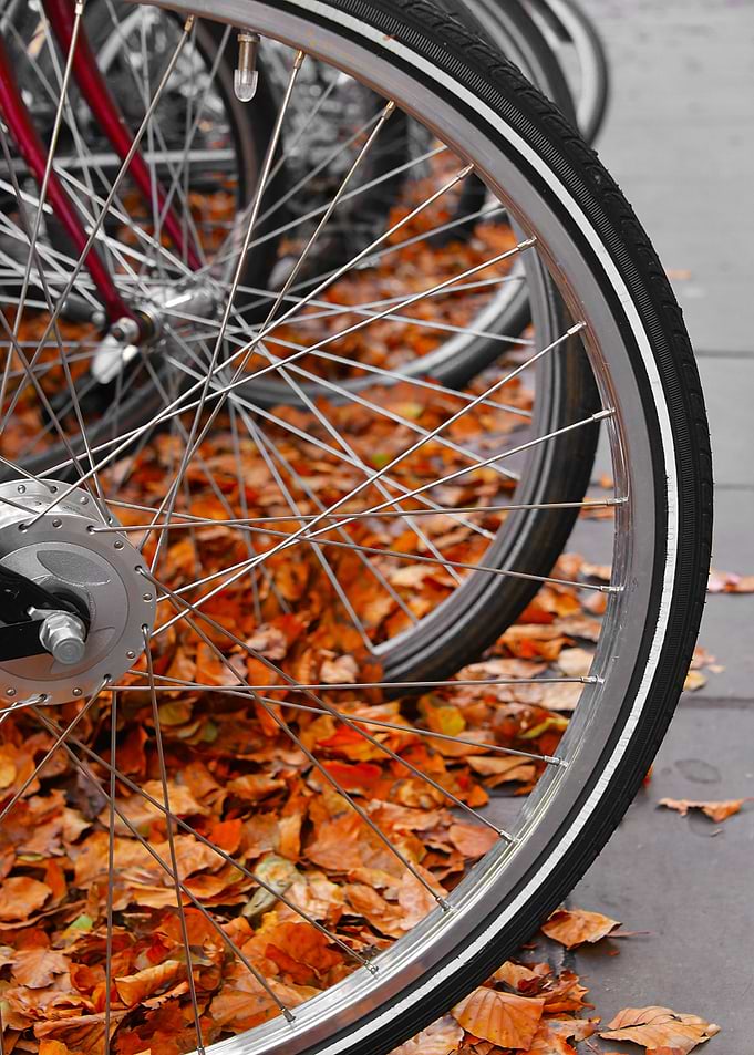 Bicycle Abstract