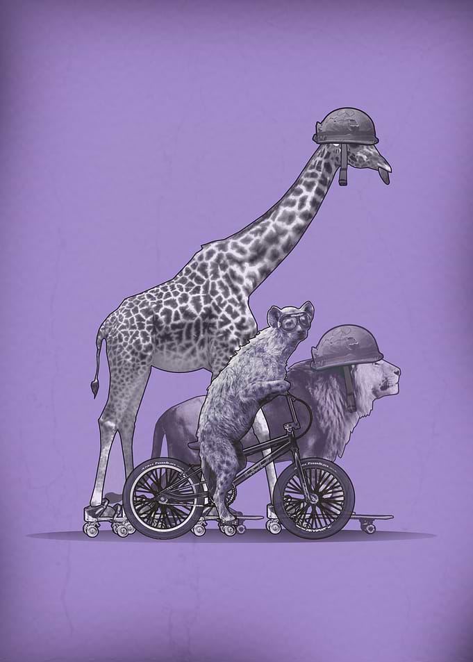 Safari Road Trip