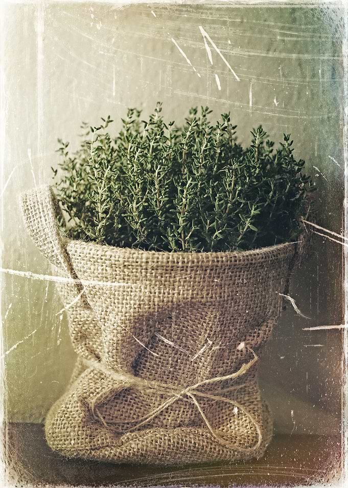 Green Spice