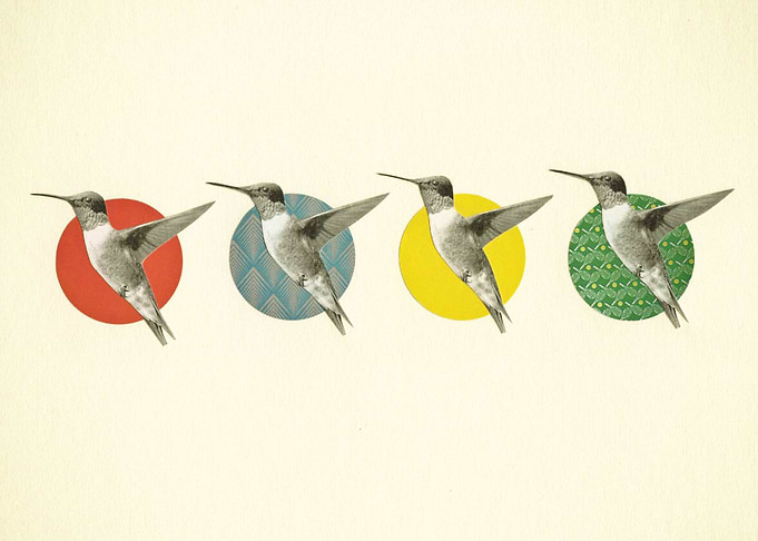 The Hummingbird Dance