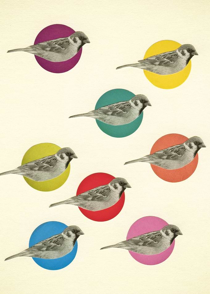 Gathering Sparrows