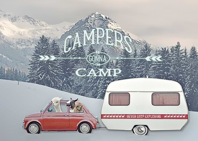 CAMPERS GONNA CAMP by Monika Strigel